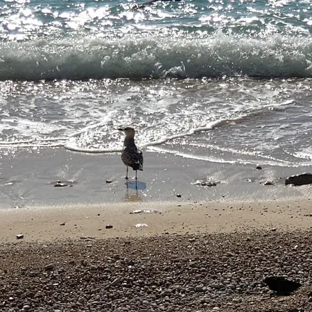 Luxury Seafront Banje Διαμέρισμα Ντουμπρόβνικ