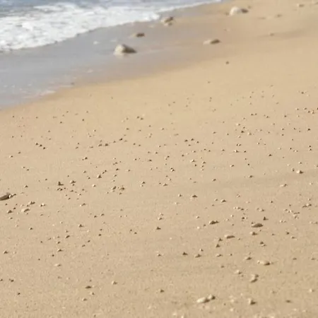 Luxury Seafront Banje *