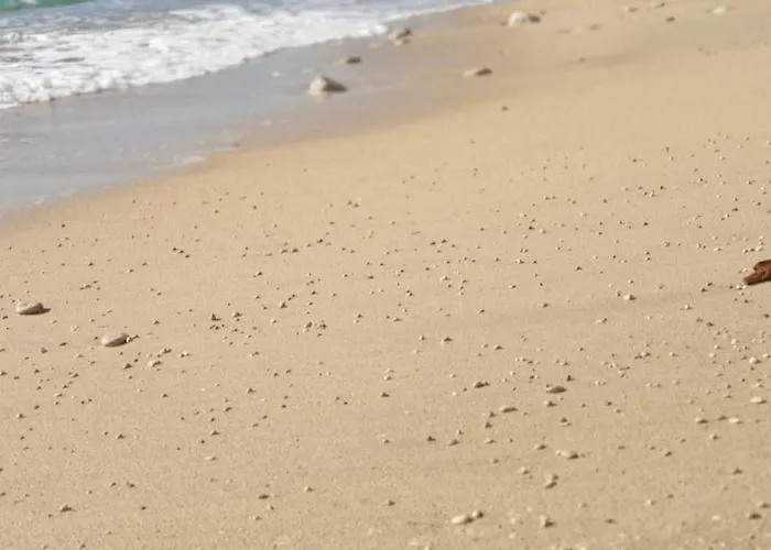 Luxury Seafront Banje *